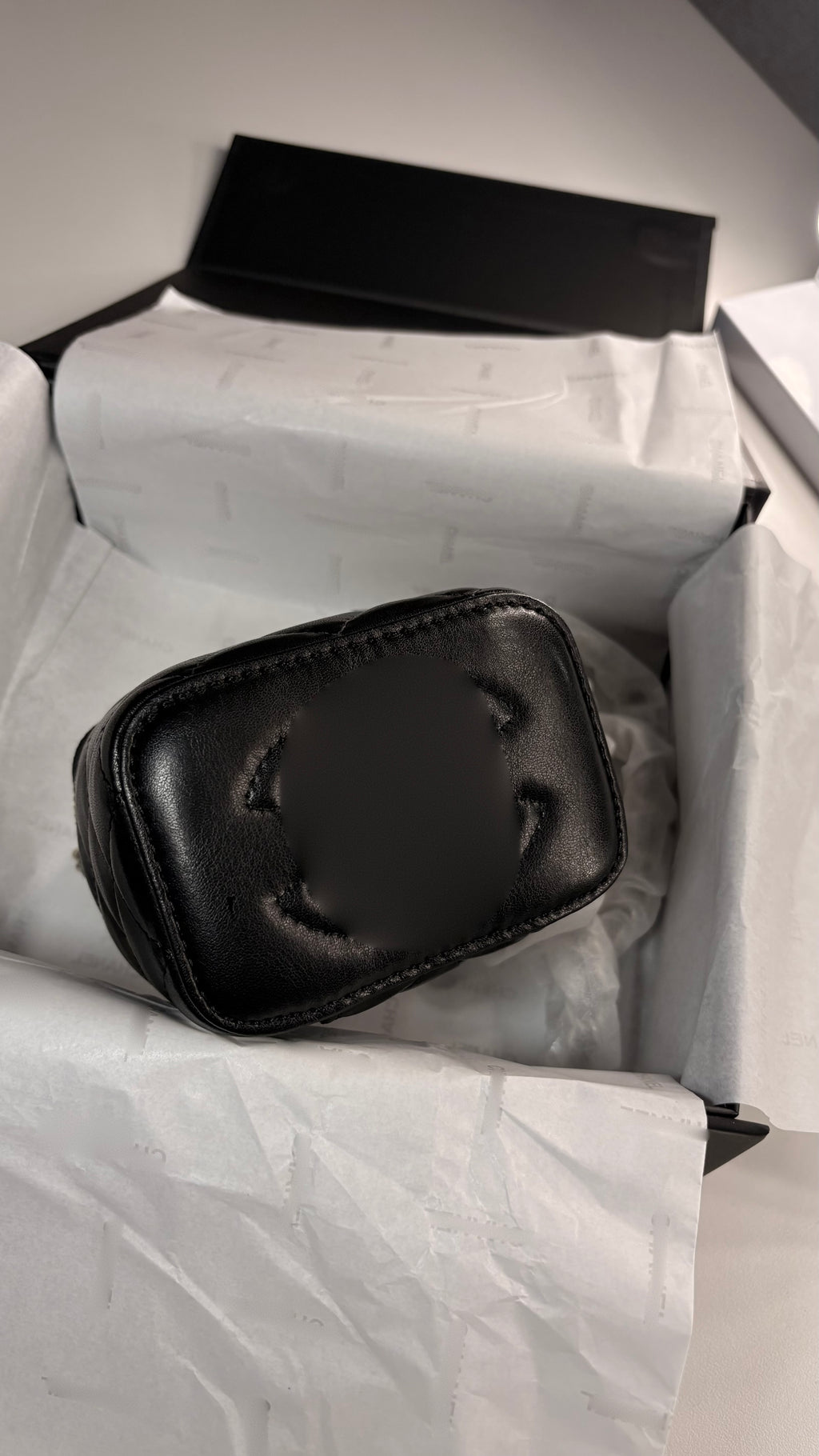 C. Mini Quilted Vanity Bag