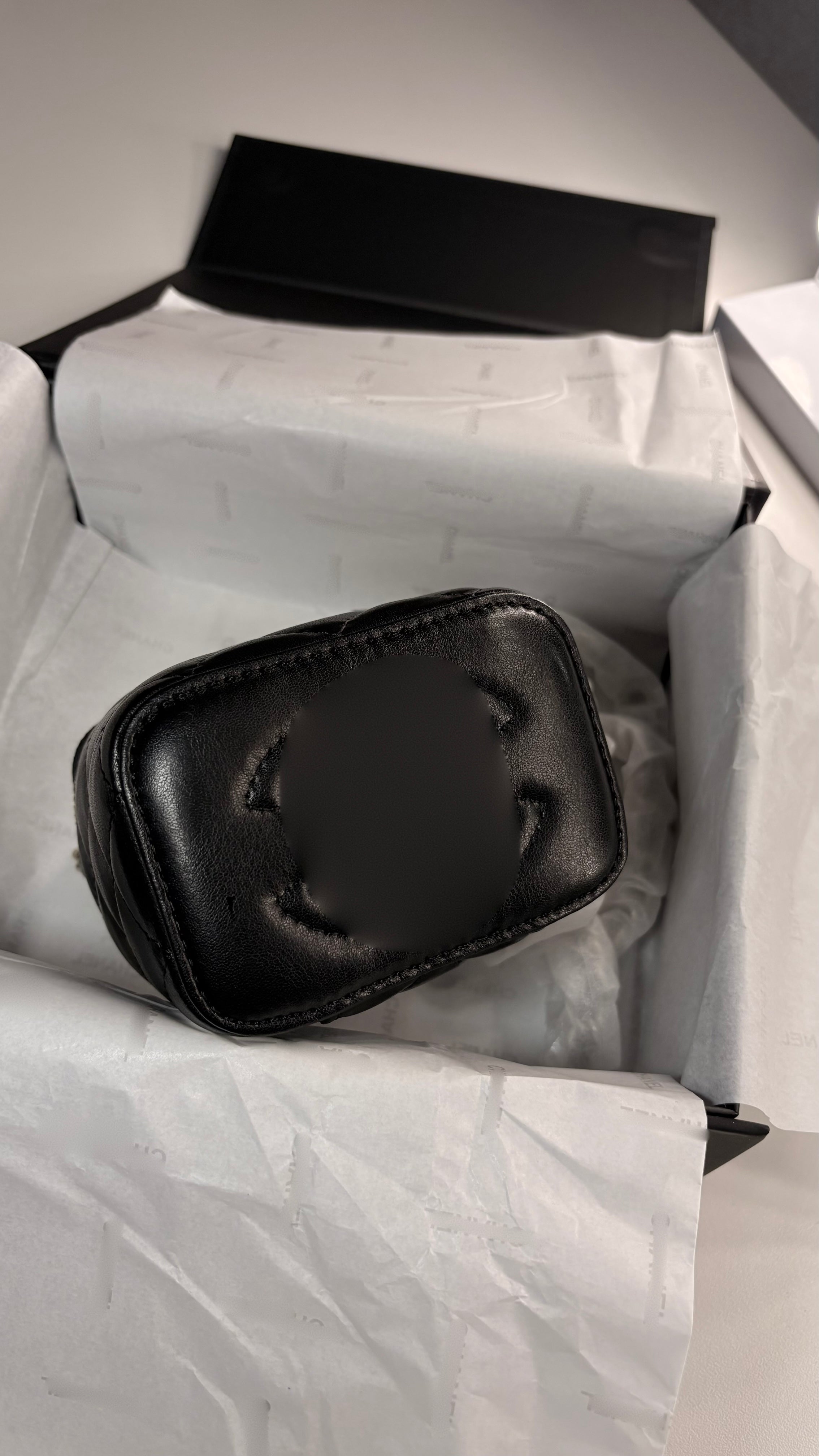 C. Mini Quilted Vanity Bag