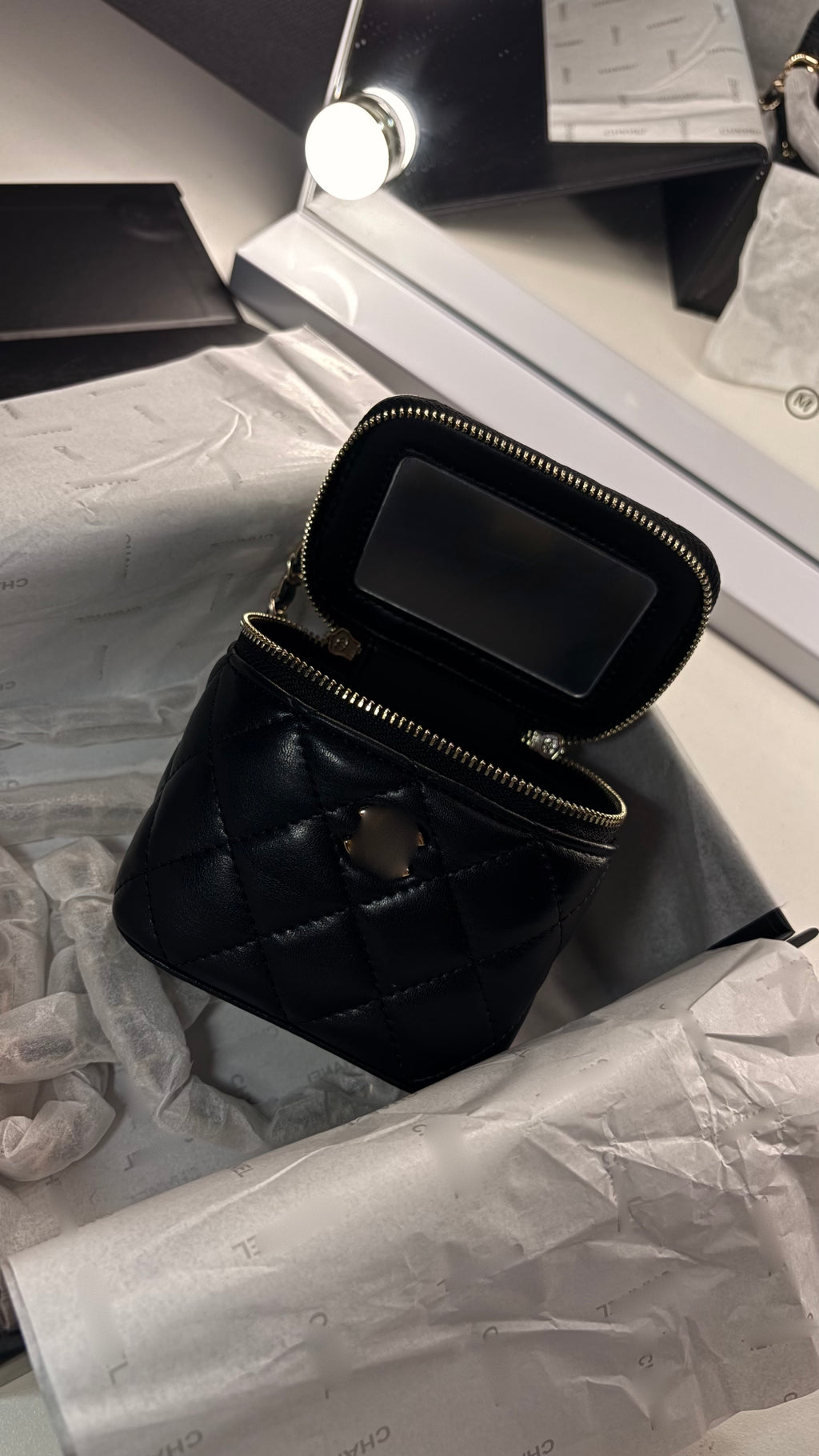 C. Mini Quilted Vanity Bag