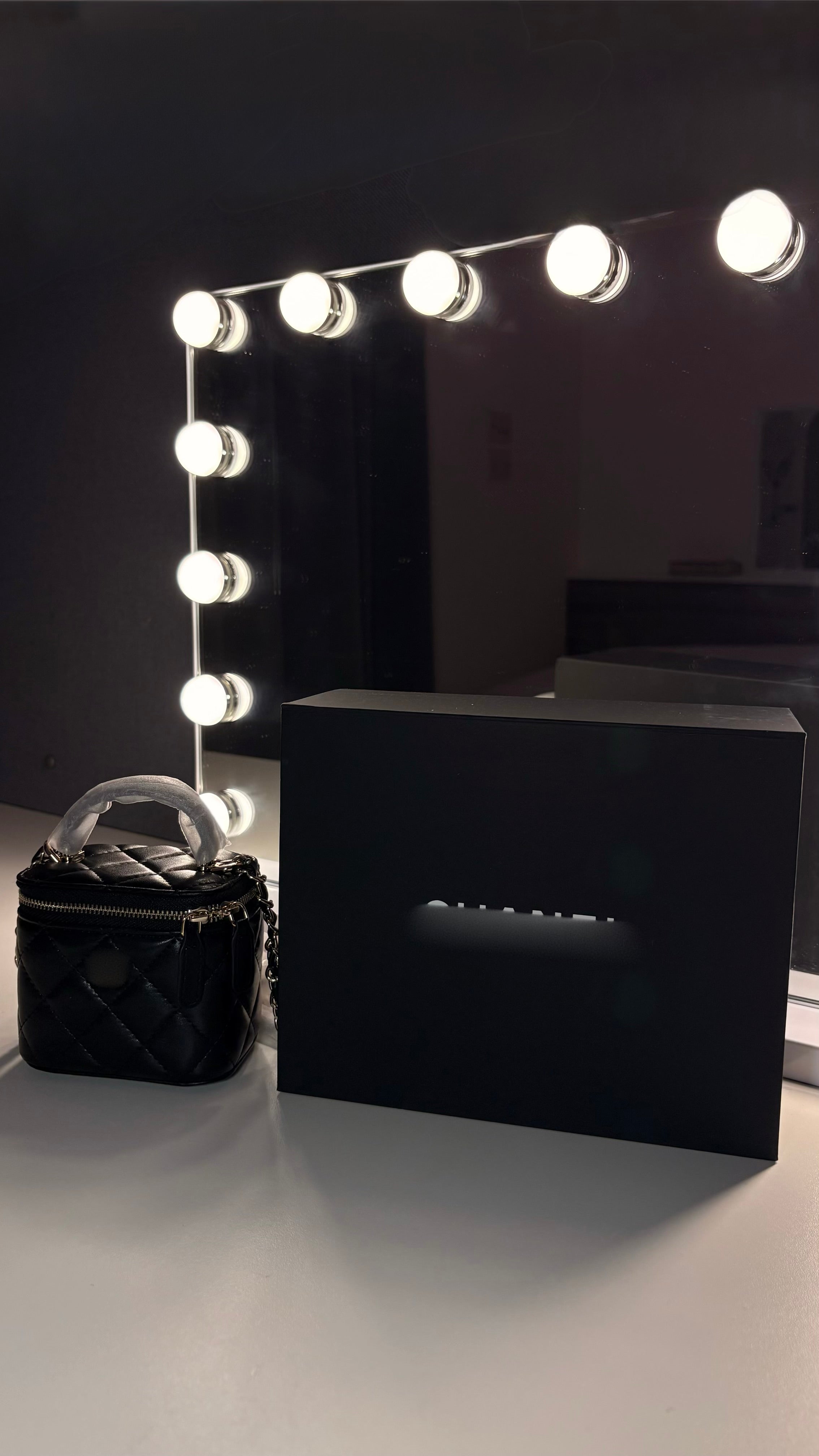 C. Mini Quilted Vanity Bag